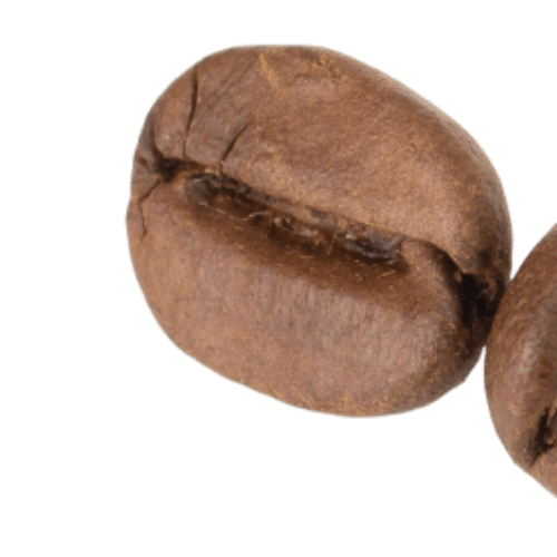 image1251.png